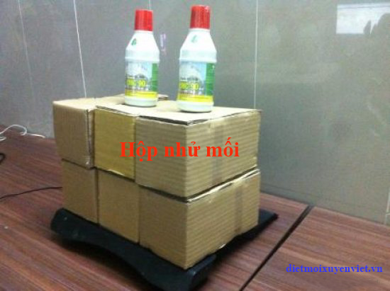 diet-moi-gia-re-tai-Nha-Trang